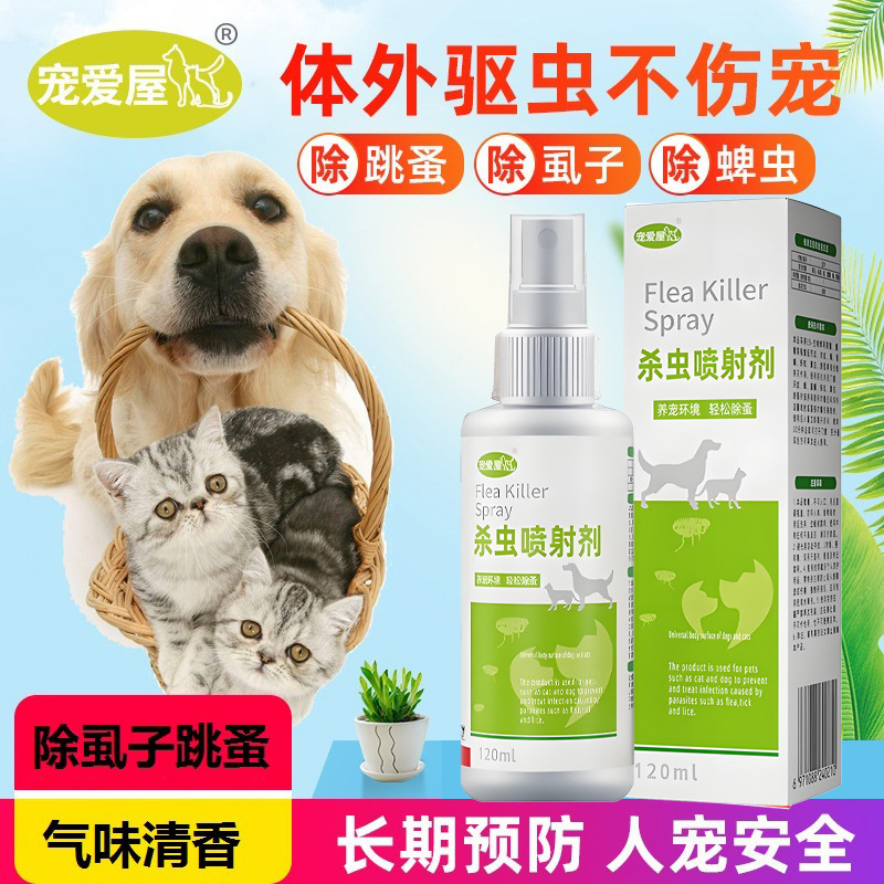 Passion House fleas