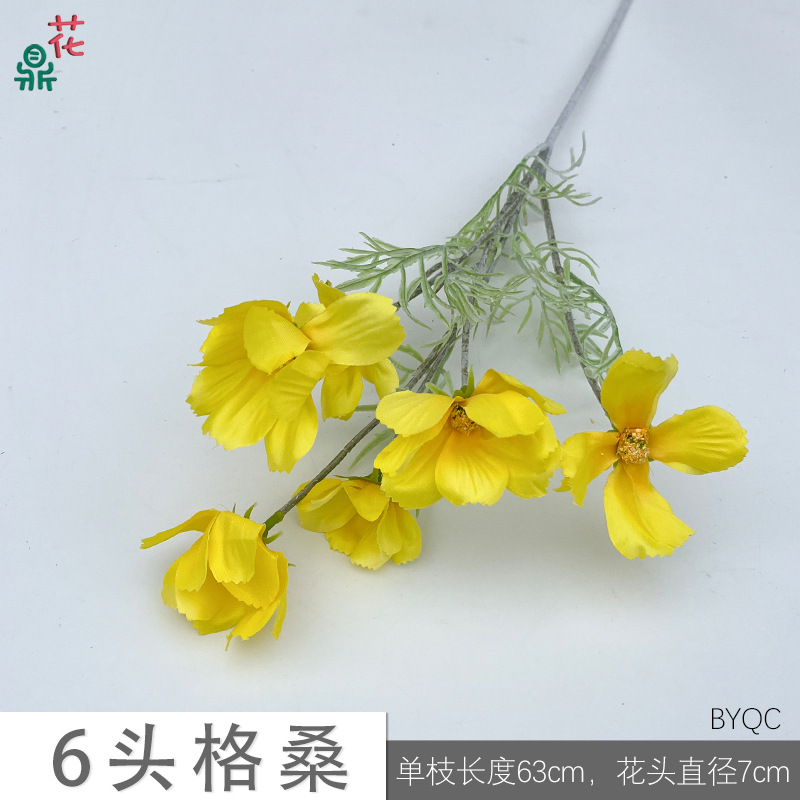 6 đầu Gesang BYQC màu vàng