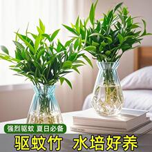 ������ˮ��Gֲ�͏d�҃������k���ҹ�λ�����b[����ؔ�\ֲ��