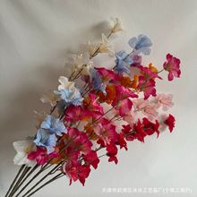 ��֦��ˮ�ɷ���ˮ�ɻ� ��ˮ�ɷ���	 �ٻ���c  �ٻ����l ���滨��