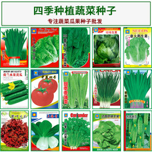 大量批發蔬菜種子，家庭小袋裝菜種子花種子，大棚蔬菜種子花種子