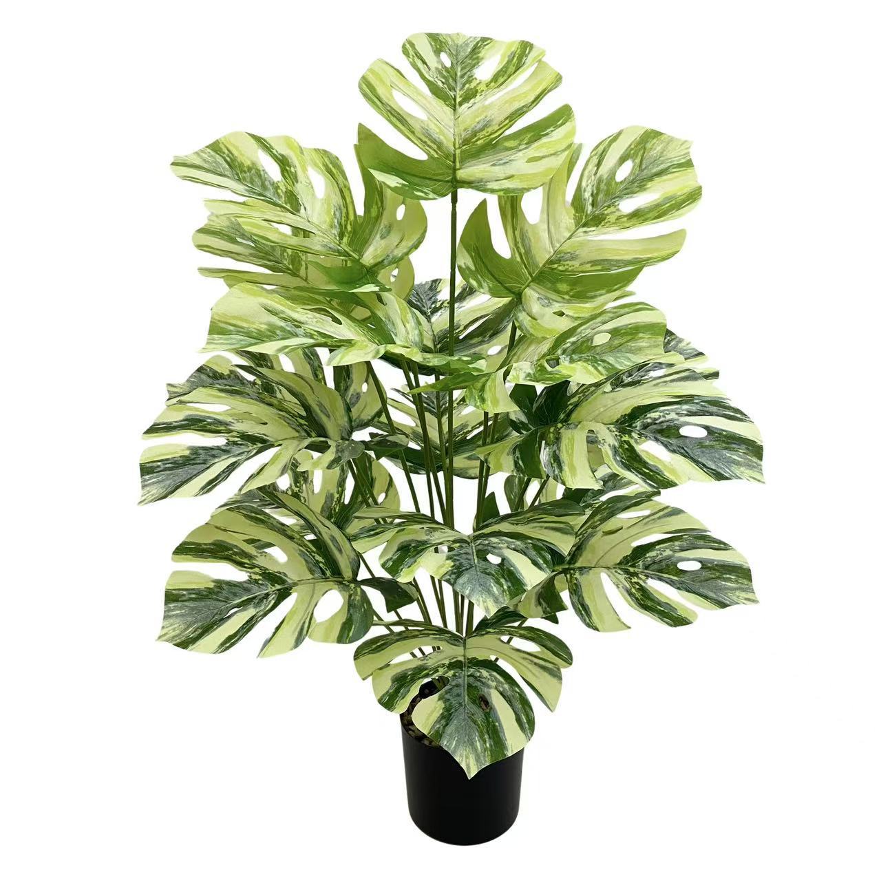 微信图片_20241128151711