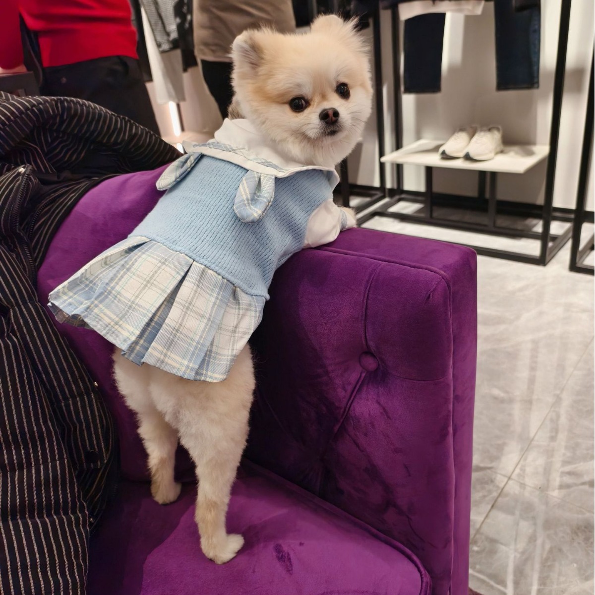 Pet dog cat JK princess dress Teddy Bichon Pomeranian Schnauzer spring and autumn small puppy clothes