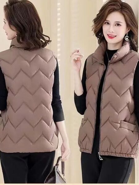 Demi-season vest with down