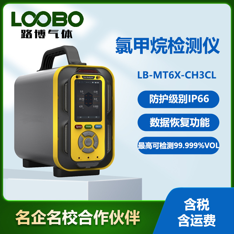 泵吸式氯甲烷浓度分析探测器手提式氯甲烷气体含量检测仪