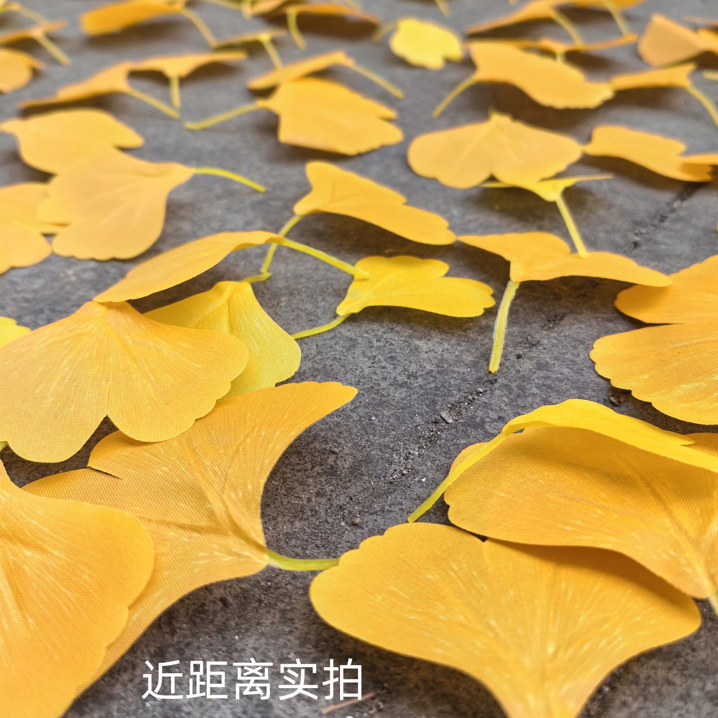 IMG_20251025_143149_副本