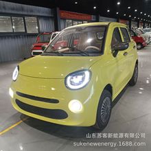 外贸出口2025新款成人款新能源四轮电动车低速代步车家用上下班