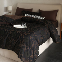 �͹�ɫ�����Ứح�����ļ��׼���ȫ��2025�¿�α��׸߼��д�Ʒ