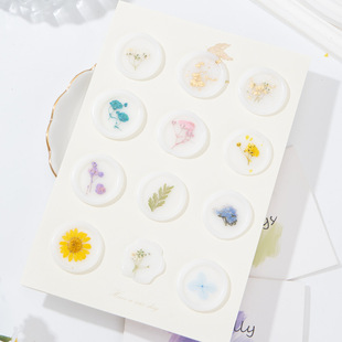 �S�����l����ӡ�»���ֲ����N���ŷ����N�Y��Y���b��]������