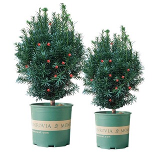 �ͺ����؁��t��ɼ���������辰�����҃��⻨�ܾGֲֲ���ļ��L��