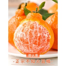 �Ĵ���֪�����ˮ�����r����������10����Ӹ��ٰҰ��۽۳�˹�