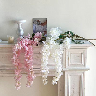 ���������ٻ��ٻ��������ٻ�Y���b��潁���Ƶ����b��滨