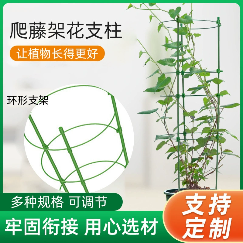 Трансграничная оптовая продажа виноградной лозы принадлежности садоводство восхождение виноградной лозы подставка для растений специальная опора столб цветок подставка для наружного