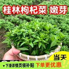 �V��������轲�ѿ���~���^��ѿ�r�����r�߲��Բ˲����rҰ����ʳ��