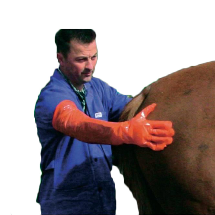 加厚兽用一次性助产长臂加长手套羊牛母猪检查授精兽医接生手套C