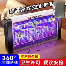 Мßß҃ȼ͏dωnωx