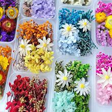 �������ɻ�diy���ϰ��ֹ����հ׈F��ֲ���N������ƿ��������