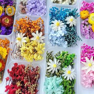 �������ɻ�diy���ϰ��ֹ����հ׈F��ֲ���N������ƿ��������