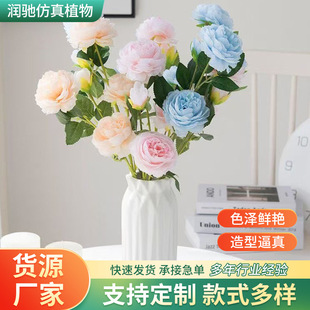 ins�L��3�^��ĵ�� ���滨����õ�廨���Ҿӿ͏d�����b����ռٻ�