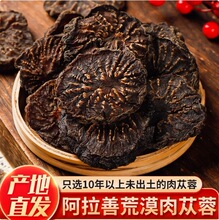 肉苁蓉中药材500/250/100g新疆大芸片油性泡茶酒另售锁阳淫羊藿