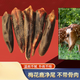 ����÷��¹��¹β����ɖ|���خa��¹β�ݾ��Ҝ���βȥ��