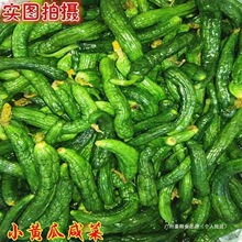 农家咸菜小黄瓜鲜脆泡菜特产特色山东腌制包邮黄瓜饭菜可口自制
