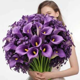 �羳�R��ɏ������M���ǲ廨�Ҿӿ͏d�b�Y���������ɽM�ϼٻ�