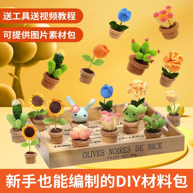 亚马逊热款钩针材料包植物系列精纺团线编织DIY摆件支持代发