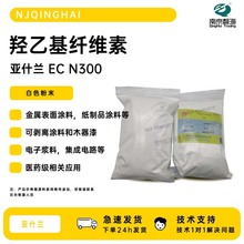 ʲmuһwSEC N300ӝ{tîaƷTИI