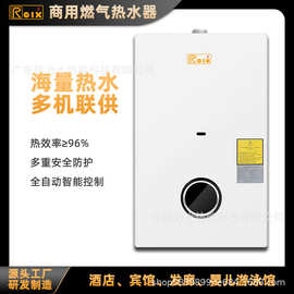 燃气热水器婴儿游泳馆采暖壁挂炉燃气式采暖炉恒温液化气两用