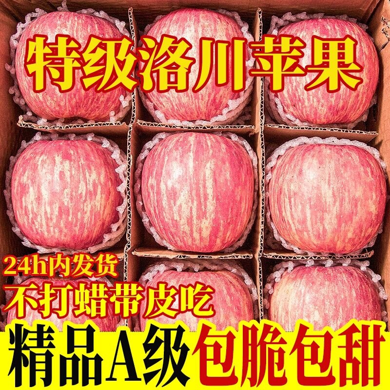 Authentic Shaanxi Luochuan Red Fuji Apples, Fresh and Crisp, Sweet Gift Box, Whole Box of Fruits 5/ 5kg