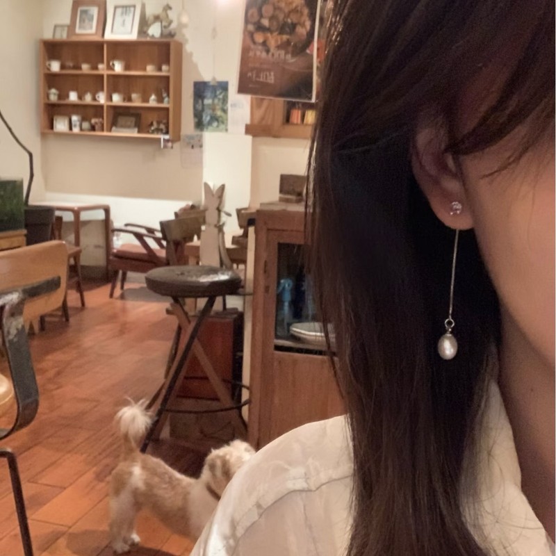 韩系ins风简约长款锆石天然淡水珍珠耳钉S925银流苏百搭温婉耳饰|undefined