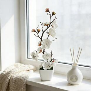 �羳���N����÷���D÷�����Ԕ[���Ҿ��b���ʽ�͏d�ٻ�÷���辰