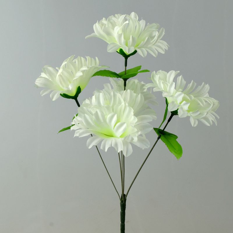 5头大丽菊17.jpg