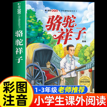  ʈDע ͯČW СW123꼉 nx罛