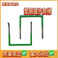 塑钢爬梯检查井铸铁踏步雨污水窖井预埋包塑带丝扣井筒爬梯现货
