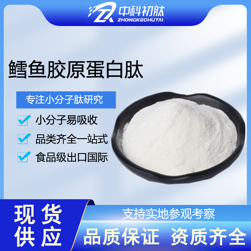 Deep-Sea Cod Collagen Peptide 99 Source Factory Small Molecule Active Peptide Elastin Peptide Fish Skin Peptide Powder