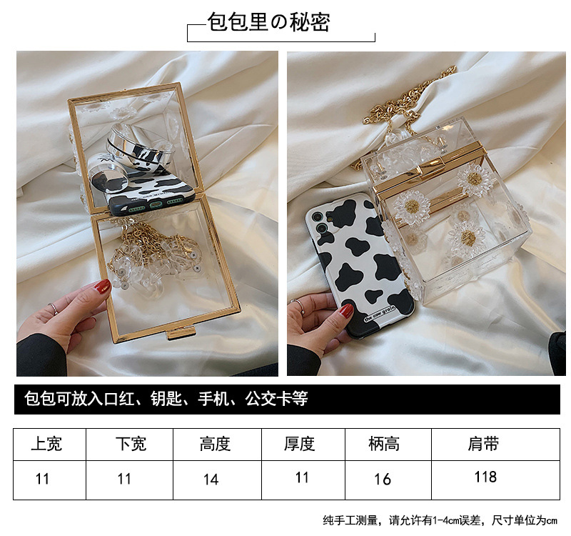 New Fashion Small Daisy Acrylic Transparent Pearl Chain Armpit Bag Wholesale Nihaojewelry display picture 21