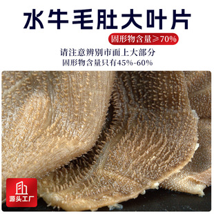 ˮţë���~Ƭ���r�̻��ʳ���Sţ��ë�ǹ��Sţ���~�������l