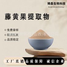 藤黄果提取物HCA羟基柠檬酸博森源头工厂现货包邮量大价优