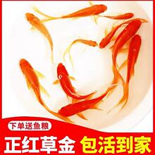 �t���~��ˮ�~�ݽ��~�Lβ�t�ݽ���~�^�p�~��ˮ��ˮС���~�\���\�a