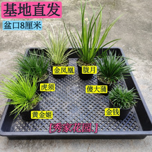 �����辰΢�͸�ʯˮ����X����횖V�½��P��ɽҰ�¼�΢������