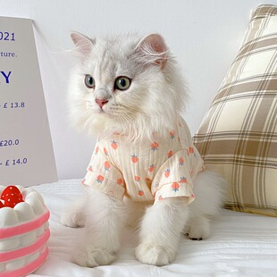 Cat Clothes anti-lint puppet British short pet summer blue cat kitten air conditioning vest cat thin summer