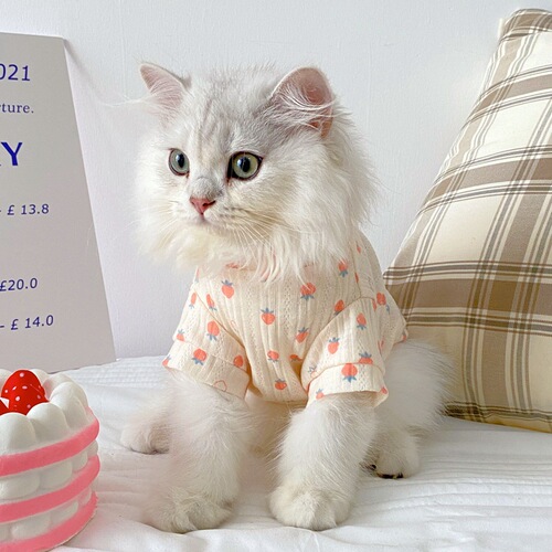 Cat clothes anti-hair shedding plush British short pet summer blue cat kitten air conditioning vest cat thin summer