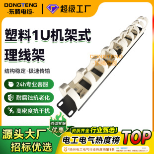 Processing and Custom Plastic 1U Rack Type Cable Management Rack 110 Type Patch Panel Patch Panel Network Cable