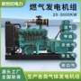 并网油田沼气200kw300发电机组