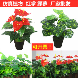 �Gֲ�t�Ƽٻ�һƷ�t�}�Q���͏d�b���������Ԕ[�O�辰��