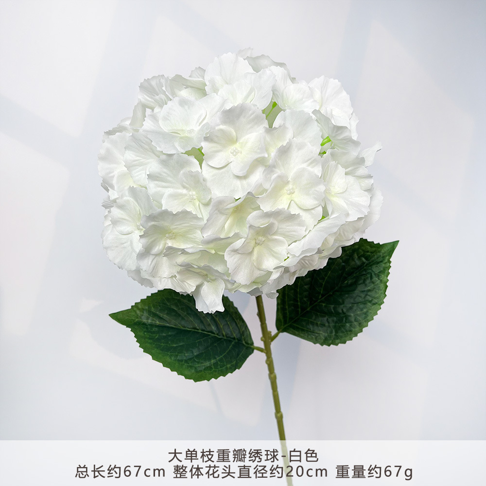 YX - ไฮเดรนเยียก้านเดี่ยวขนาดใหญ่ ดอกคู่ - สีขาว