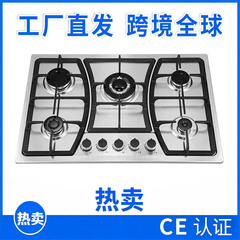 厂家直供燃气灶五头灶厨房家用燃气灶不锈钢具烹饪台上灶嵌入灶