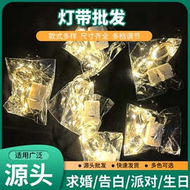 室内LED;LED装饰灯;室外LED